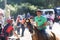 Fair horse in the village of Escusa in Pontevedra Spain