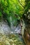 Fair mountain ravine with a creek in southern forest