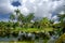 Fairchild tropical botanic garden