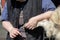 Fairgrounds Small Animal Clinic - Goat Hoof Repair