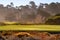 Fairway view of golf course in Pebble Beach California