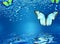 Fairy Blue Butterflies On Water