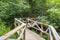 Fairy boardwalk into the magical forest - wooden raised walkway decorated with filmy fabric bends its way into the trees hung with