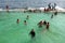 Fairy Bower Rock Pool, Manly, Sydney, Australia