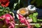 Fairy breakfast in blooming garden. Bright petunia flowers and green clover leaves with tiny dishware on the background.