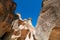 Fairy Chimneys from below in Pasabagi Cappadocia Turkey