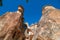 Fairy Chimneys from below in Pasabagi Cappadocia Turkey