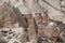 Fairy chimneys in Cappadocia, Turkey