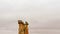 Fairy Chimneys at Pasabag, the valley of the monks in Goreme, Cappadocia