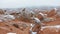 Fairy chimneys with snowy landscape at Devrent Valley in Cappadocia.