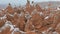 Fairy chimneys with snowy landscape at Devrent Valley in Cappadocia.