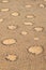 Fairy circles in the Namib desert