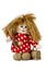 Fairy doll hobgoblin in shirt with polka dots