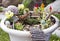 Fairy garden in a flower pot outdoors