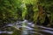 The Fairy Glen in Betws-y-Coed, Wales