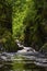 The Fairy Glen in Betws-y-Coed, Wales