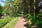 Fairy Glen Footpaths that Run Through Scottlands Forrest Paths