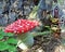 Fairy or Gnome Fantasy Garden Mushroom and Little Red House