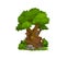 Fairy house of dwarf gnome, elf home tree cartoon