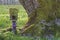 Fairy house with moss next to Tree Trunk