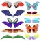 Fairy insect wings vector flying kids carnival costume winged bird bat and butterfly insects with wingspan for halloween