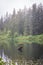 Fairy Lake Bonsai Tree Reflection