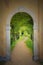 Fairy path through arched old door, mystic mood