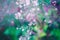 Fairy pink white small flowers on colorful dreamy magic green blue purple blurry background