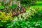 Fairy tale bridge vivid green river wooden full of flowers in ornamental garden