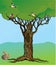 Fairy-tale rooted oak tree, squirrel and birds