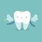 Fairy tooth, dental cartoon concept