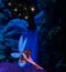Fairy Waterfall Starry Night Illustration