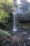 Fairy Waterfall in tasmania