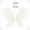 Fairy wings with gold tiaras bundled