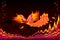 Fairyland bird flying between flame waves in fairy tale kingdom. Fantastic illustration for kids book cover.