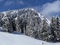 Fairytale alpine winter atmosphere and snow-capped alpine peak Stockberg 1781 m in the Alpstein mountain massif, Nesslau