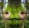 Fairytale forest, face of the bark