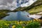 Fairytale mountain valley in Romania Carpathian. Breathtaking nature landscape with spring flowers over the glacier lake Balea