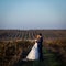Fairytale romantic couple of newlyweds hugging at sunset in vineyard field