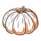 Fairytale Squash Image. Autumn gourd Illustration. Ripe pumpkin sketch. Element for autumn decorative design, halloween
