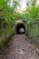 Fairytale tunnels on the South West coastpath