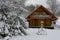 Fairytale wooden house in a winter snowy forest