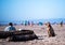 Faithful devotee dog labrador sits on the coastal sand guarding