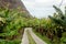 Faja dos Padres, green part and small piece of land in southern coast of Madeira island, Portugal accesible only by cablecar