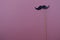 Fake black mustache on pink background for fun