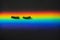 Fake eye lashes in a horizontal rainbow