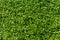 Fake Grass Turf