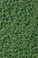 Fake Grass used on sports fields