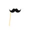 Fake mustache on a stick. Paper moustache on a straw.