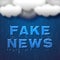 Fake News Wet Words Under Clouds 3d Illustration